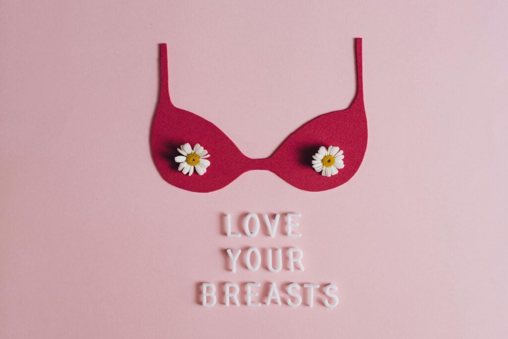 粉色背景上的紅色胸罩剪紙與雛菊裝飾/LOVE YOUR BREASTS文字/乳房健康意識與女性身體關愛/乳癌防治月主題圖像